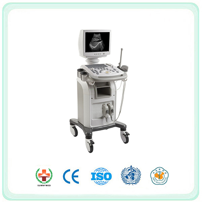 S9901 Full Digital Mobile Ultrasonic System